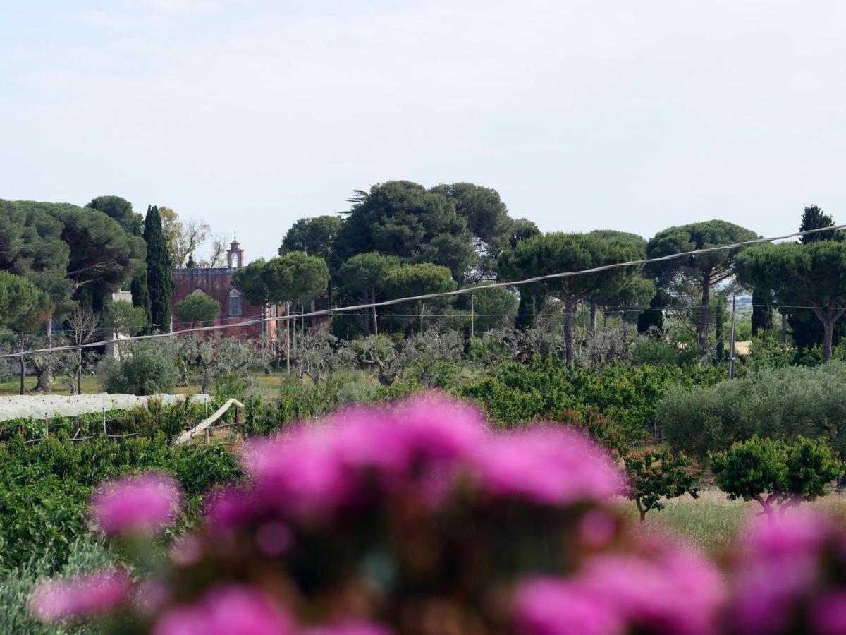 Villa Camilla Mola di Bari Zewnętrze zdjęcie